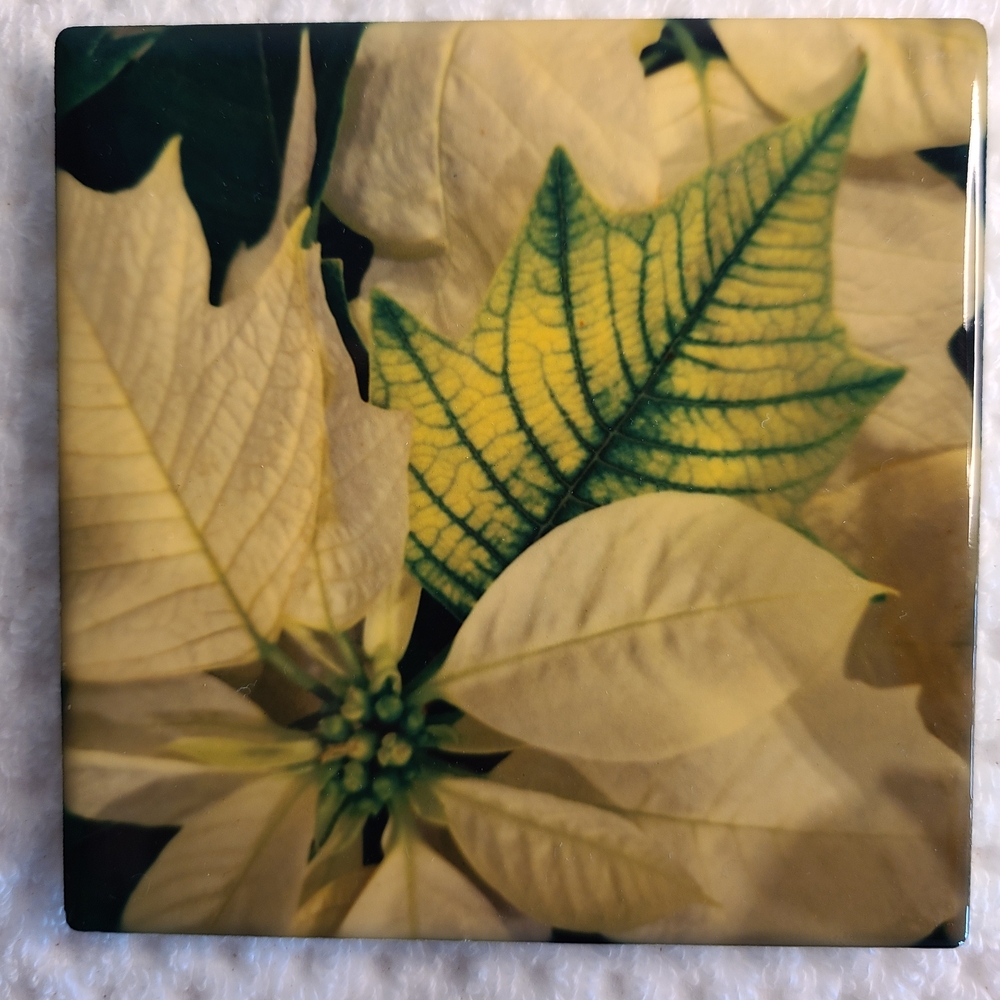 Floral Ceramic Tile with Green and Yellow Leaf Design